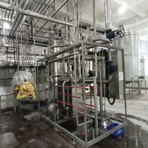 Curd/Butter Milk Processing Plant